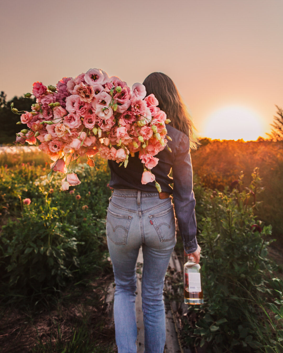 Lisianthus 'Corelli™ III Light Pink' Pelleted Seed