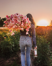 Lisianthus 'Corelli™ III Light Pink' Pelleted Seed