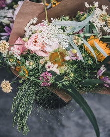 Ornamental Grass 'Green Drops'