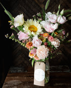 China Aster 'King Size Apricot'