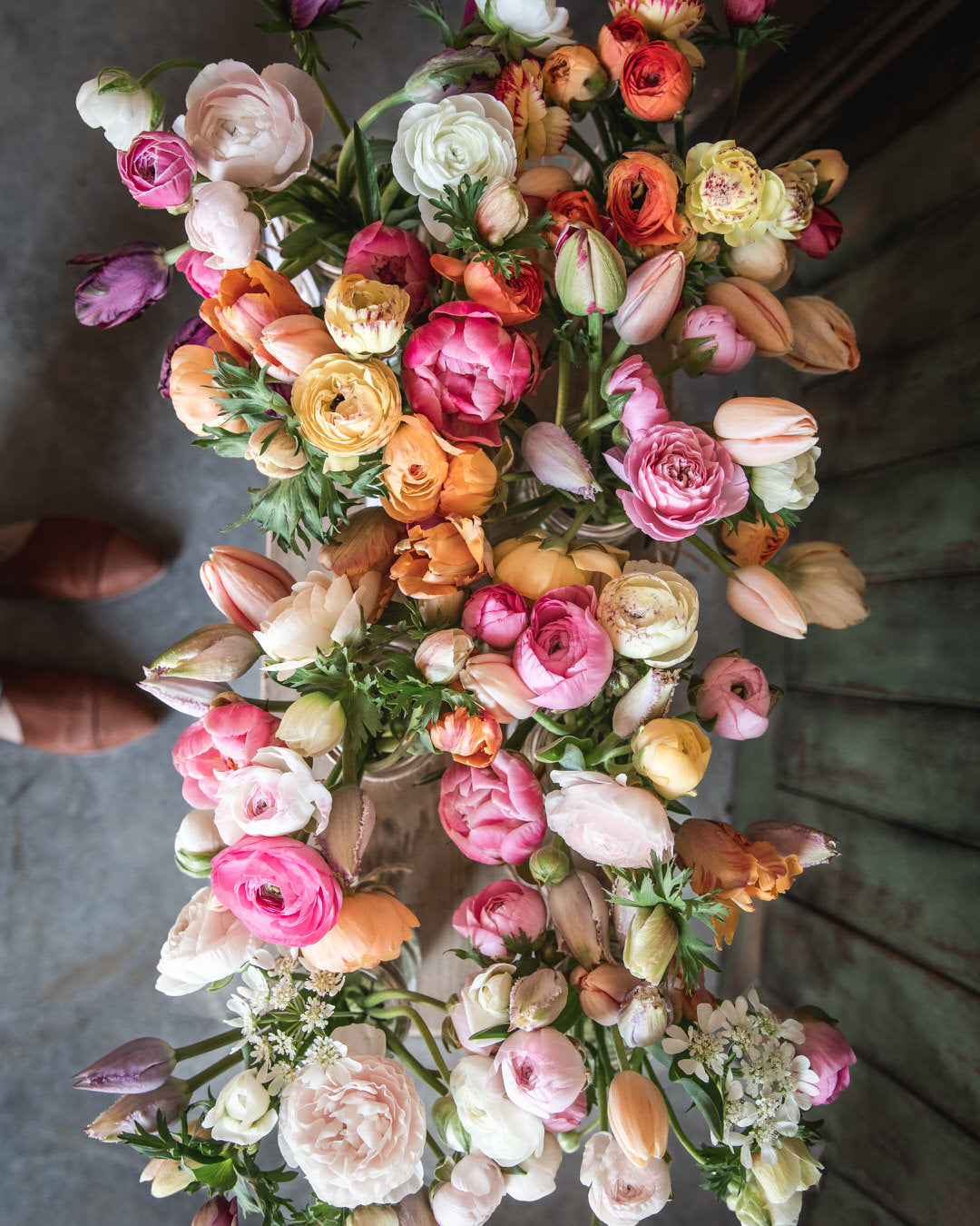 Peony 'Coral Charm' (3-5 eye)