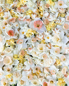 Narcissus 'Delnashaugh'
