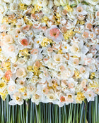 Narcissus 'Delnashaugh'