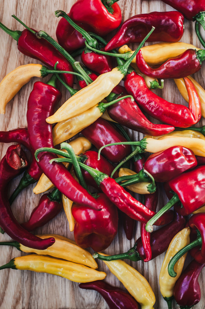Pepper, Hot 'Chimayo'