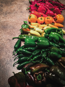 Pepper, Hot 'Jalafuego'