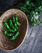 Pepper, Sweet 'Shishito'