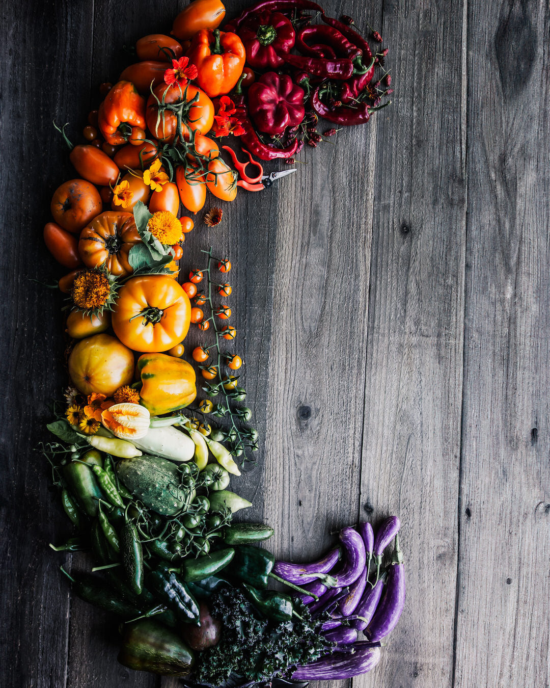 Pepper, Hot 'Jalafuego'