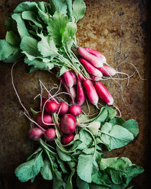 Radish 'French Breakfast'