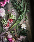 Radish 'French Breakfast'