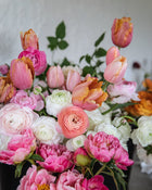 Tulip 'Amazing Parrot'