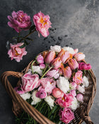 Peony 'Coral Charm' (3-5 eye)