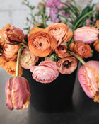 Tulip 'Amazing Parrot'