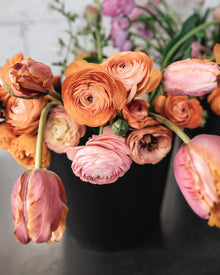 Tulip 'Amazing Parrot'