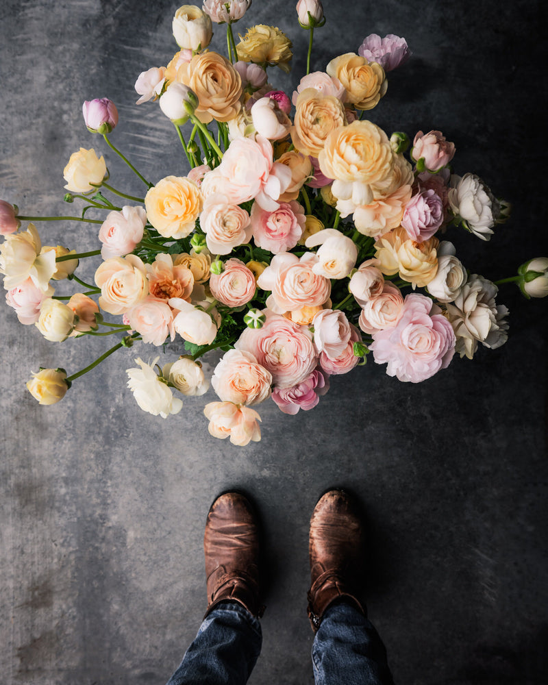 Ranunculus French Half Clone Wedding Pastels