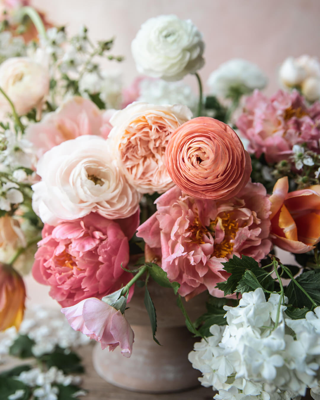 Ranunculus Italian Elegance Salmone®