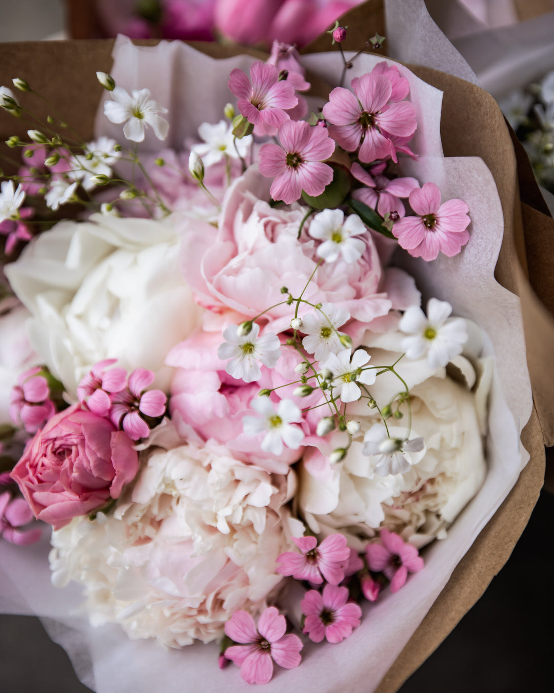 Gypsophila 'Covent Garden Market'
