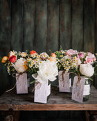 Feverfew 'Vegmo Single'