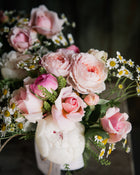 Feverfew 'Vegmo Single'