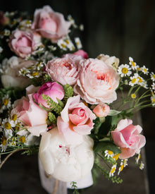 Feverfew 'Vegmo Single'
