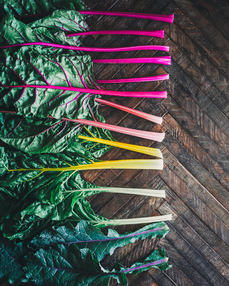 Swiss Chard 'Bright Lights'