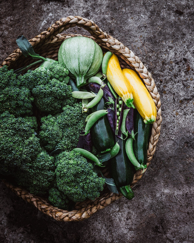 Pea 'Purple Magnolia'