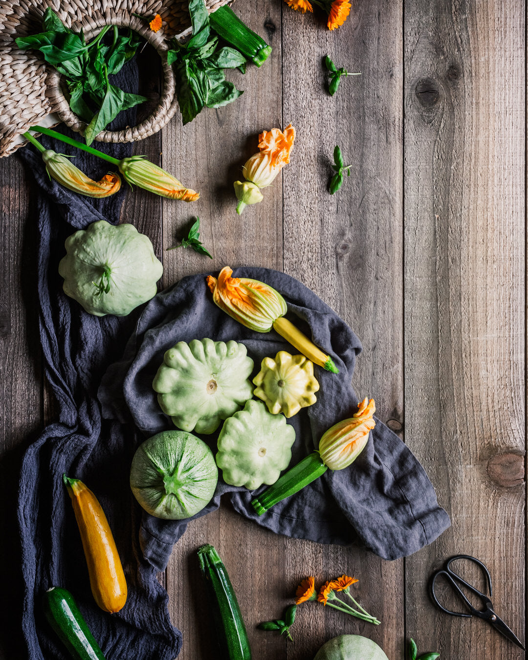 Squash, Summer 'Benning’s Green Tint Scallop'
