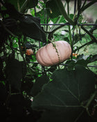 Pumpkin 'Long Island Cheese'