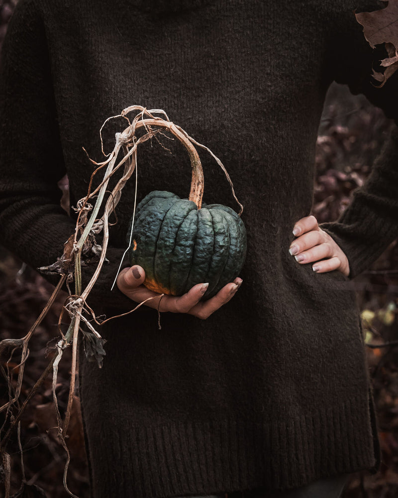Squash, Winter 'Black Futsu'