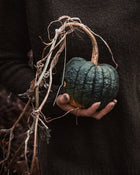 Squash, Winter 'Black Futsu'