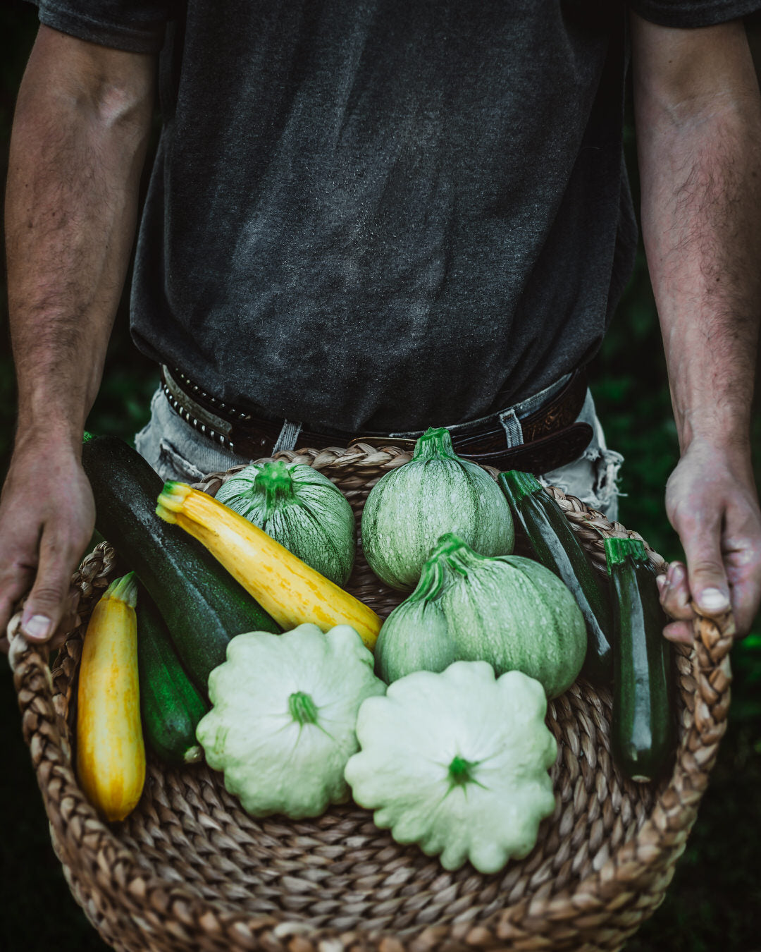 Squash, Summer 'Benning’s Green Tint Scallop'