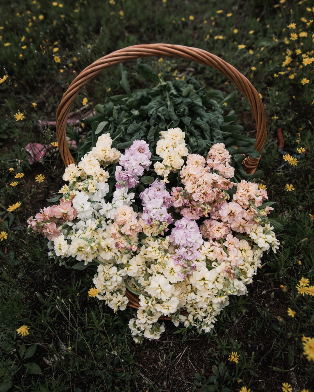 Stock 'Iron Paste Mixl'