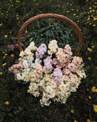 Stock 'Iron Paste Mixl'