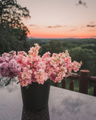 Stock 'Apricot & Cherry Blossom Mix'