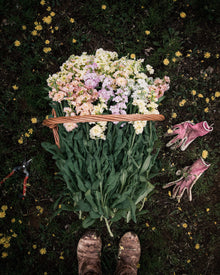 Stock 'Iron Paste Mixl'