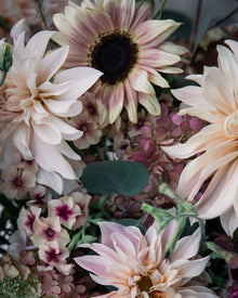 Sunflower 'ProCut® Plum'