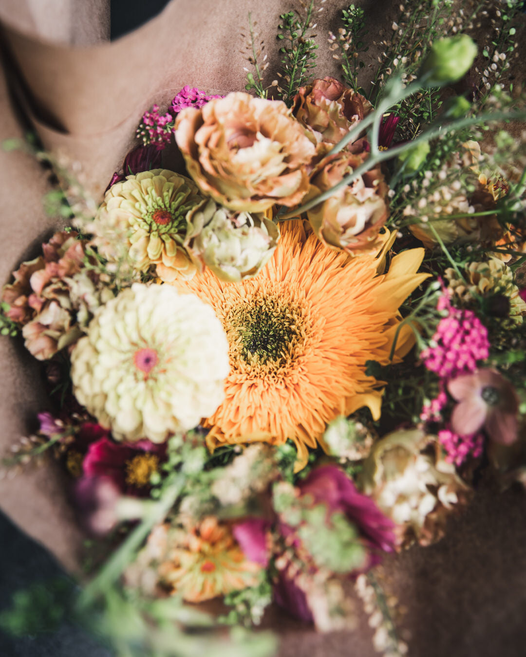 Zinnia 'Queeny Lime Blush'