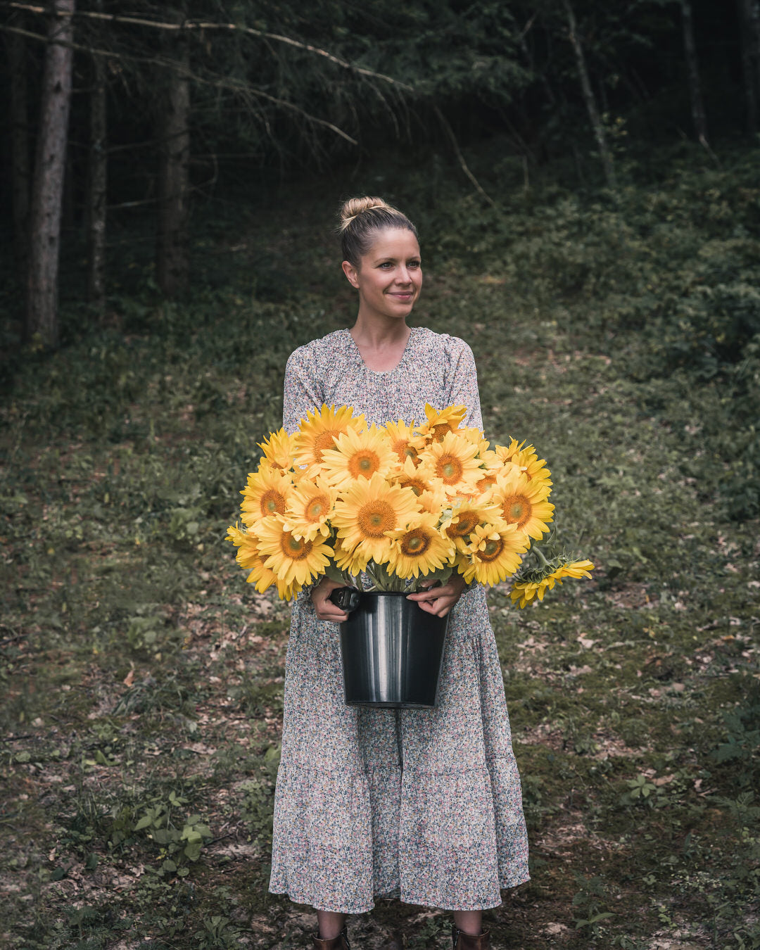 Sunflower 'ProCut® Gold Lite DMR'