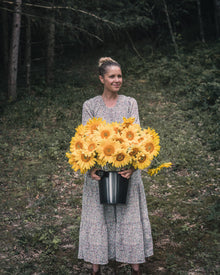 Sunflower 'ProCut® Gold Lite DMR'