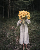 Sunflower 'ProCut® Gold Lite DMR'