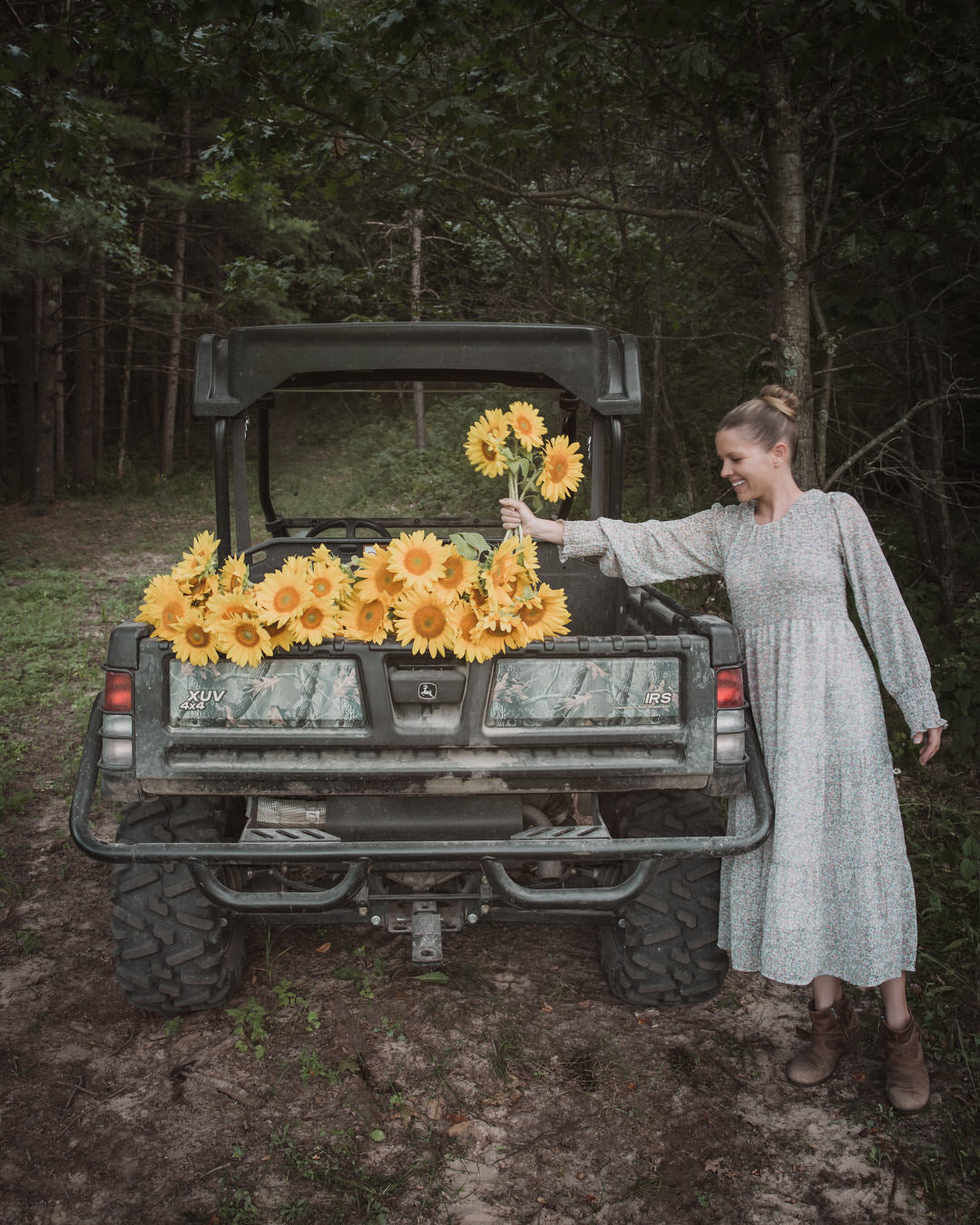 Sunflower 'ProCut® Gold Lite DMR'