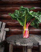 Swiss Chard 'Bright Lights'