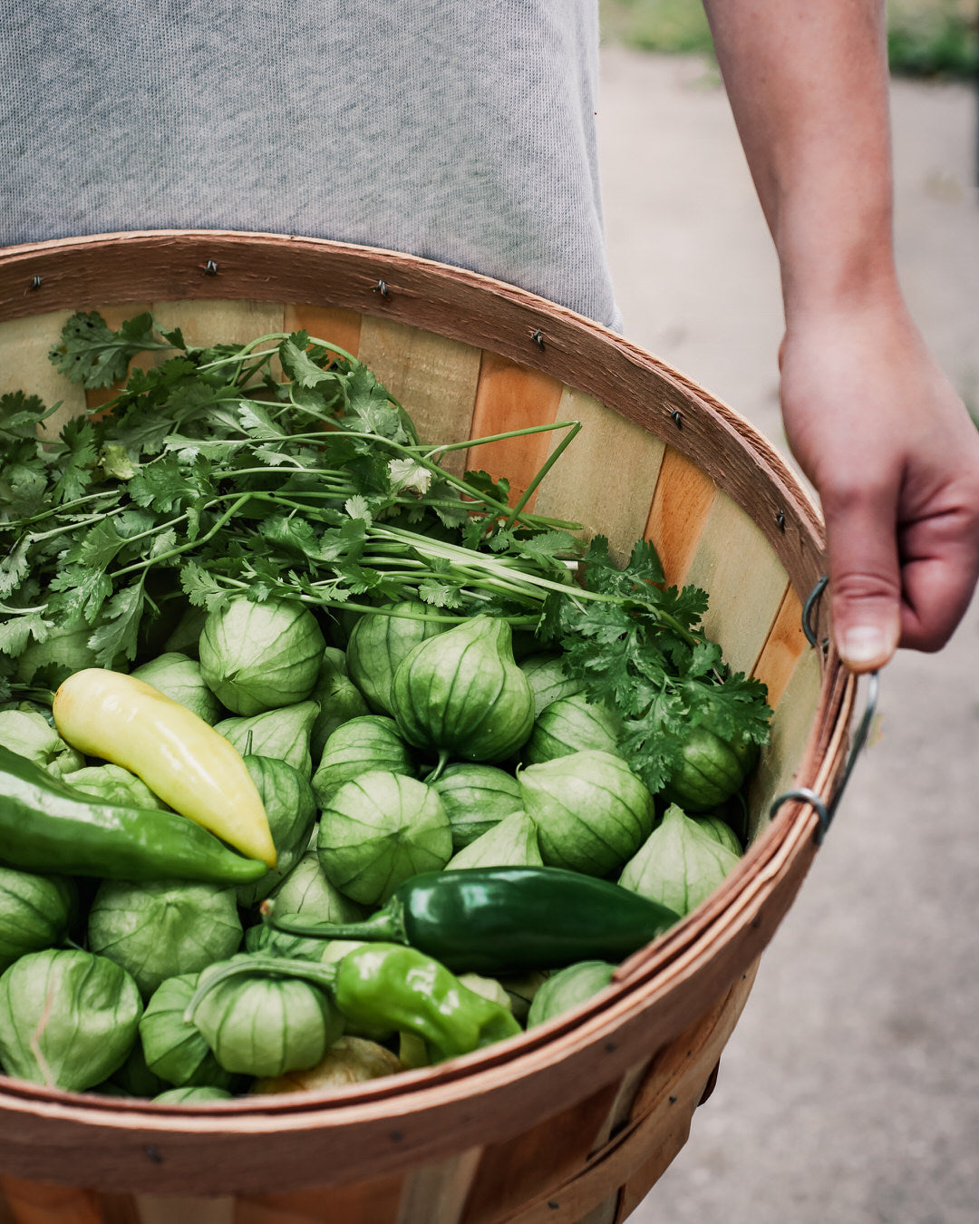 Pepper, Hot 'Aji Cristal'