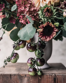 Eucalyptus 'Silver Plate'