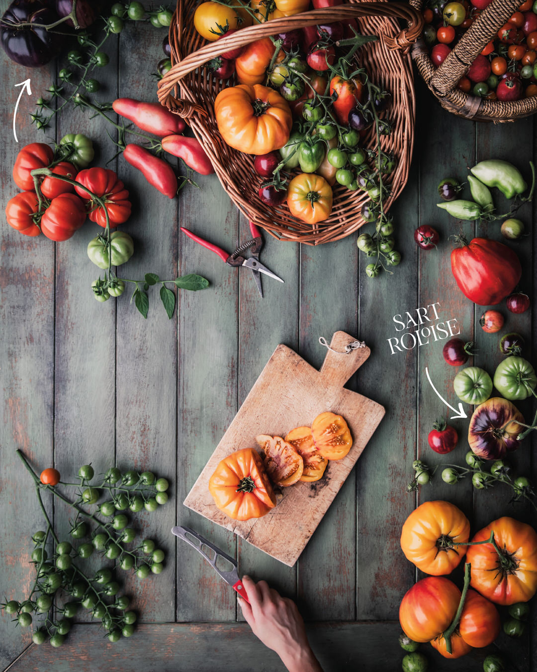 Tomato 'Sart Roloise'