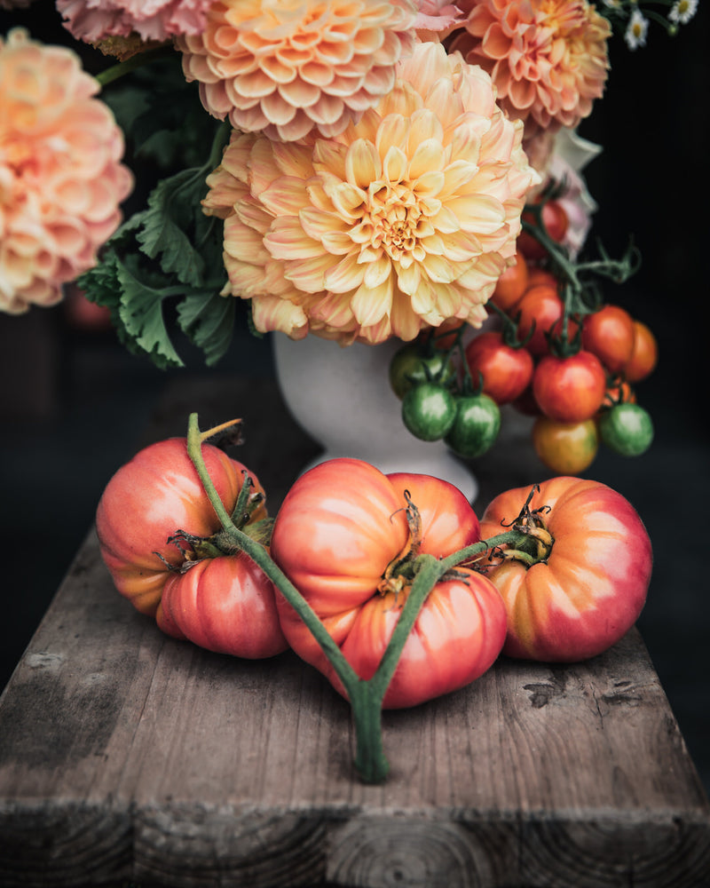 Tomato 'Brandywine (Quisenberry/Sudduth's Strain)'
