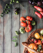 Tomato 'Costoluto Genovese'
