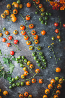 Tomato 'Sungold'