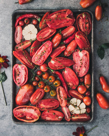 Tomato 'San Marzano II'