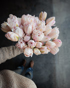 Tulip 'Foxtrot'
