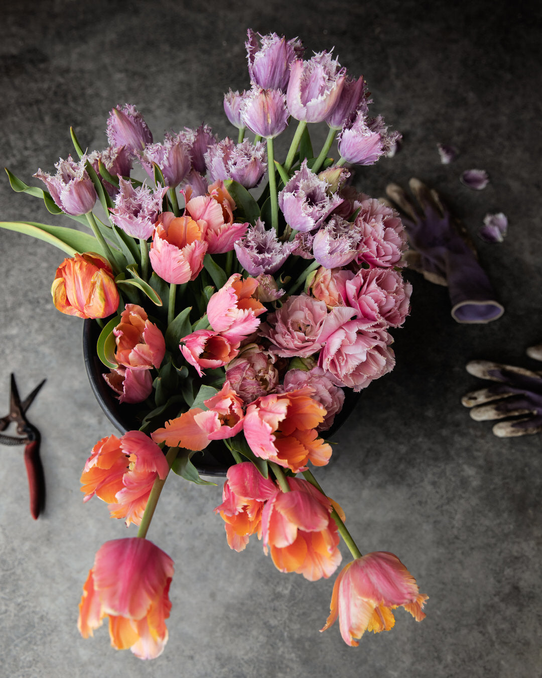 Tulip 'Crunchy Cummins'